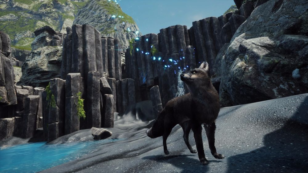 Spirit of the North Spirit of the North
